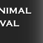 dead animal removal company
