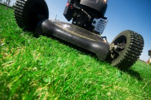 lawn mowing