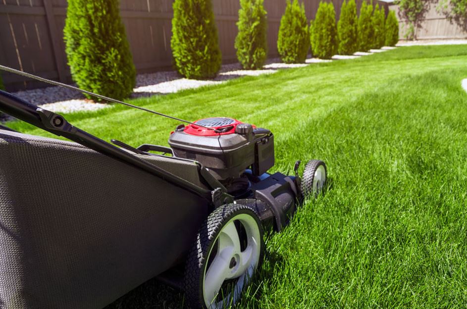 lawn mower
